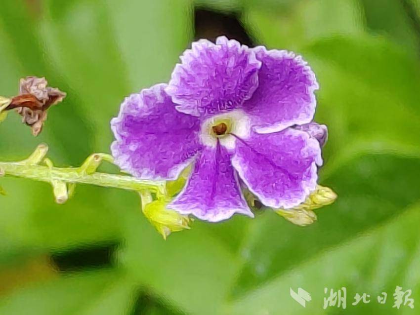 星月棋牌送3元救济金